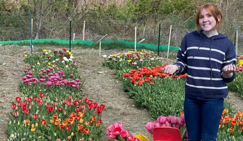 Catherine (Cassie) McGonagle working in the STEMS flower fields