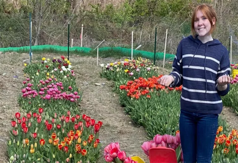 Catherine (Cassie) McGonagle working in the STEMS flower fields