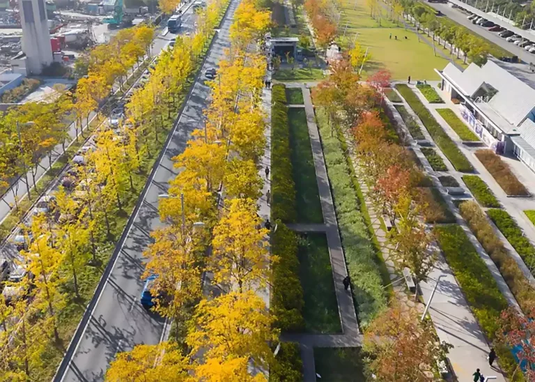 Aerial view of yellow trees and buildings